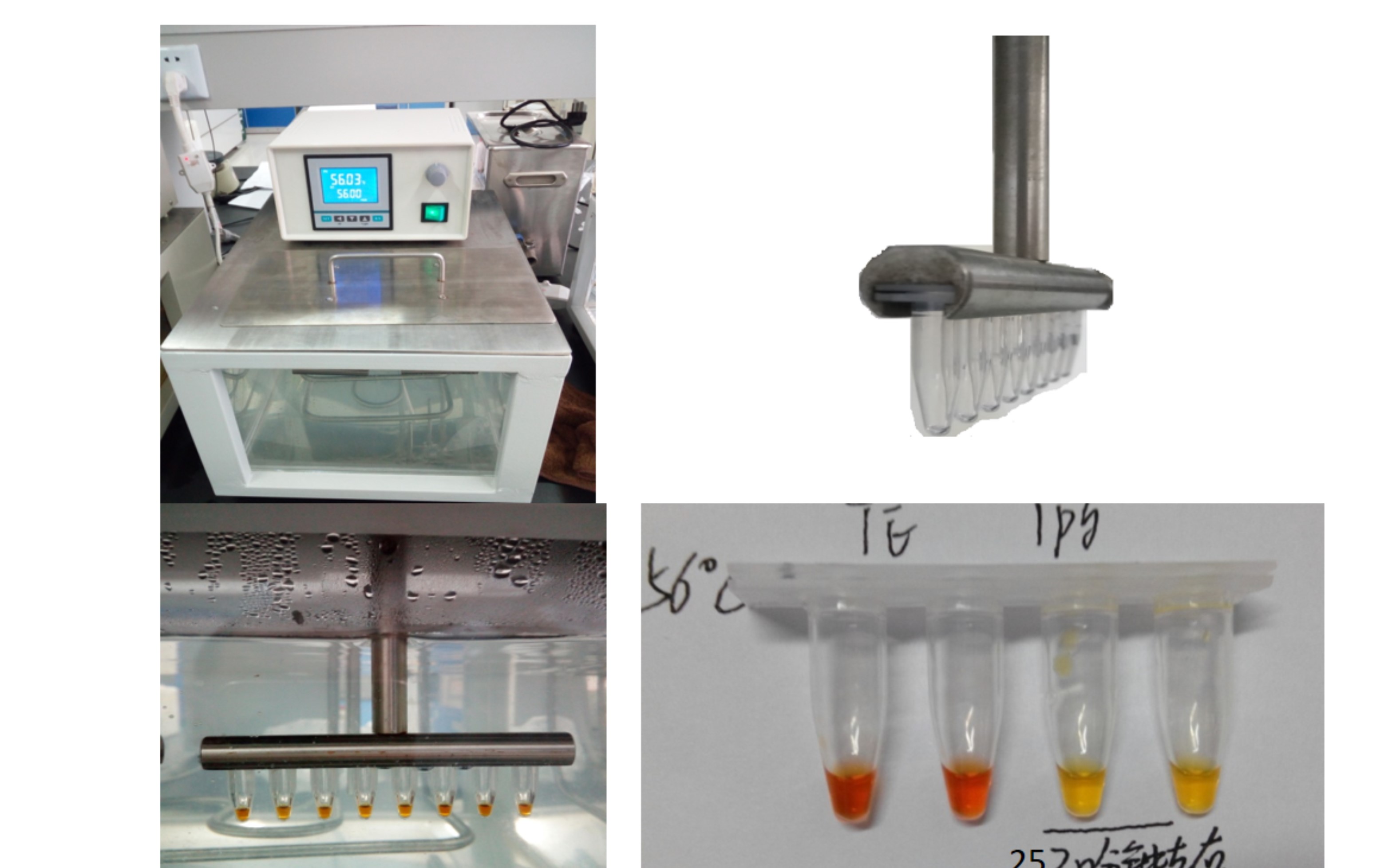 河南省食品安全生物标识快检技术重点实验室 引领生物制品技术开发新篇章